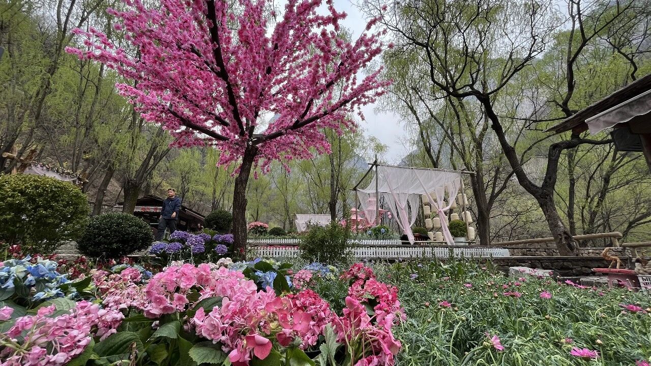 微信图片_2026-04-02_155519_824