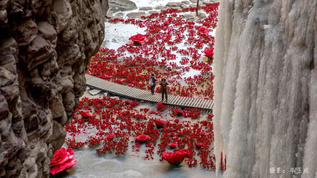 微信图片_2026-01-26_150043_126