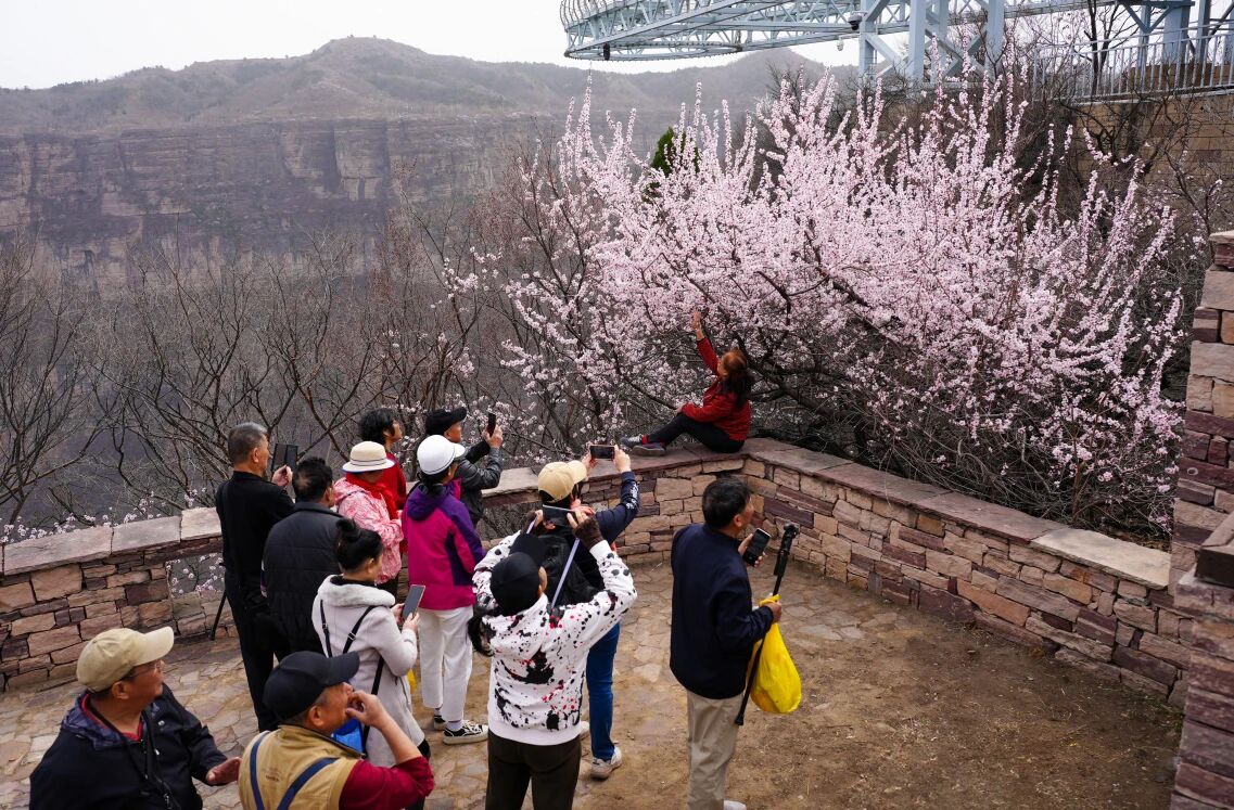 微信图片_2026-03-02_142655_751