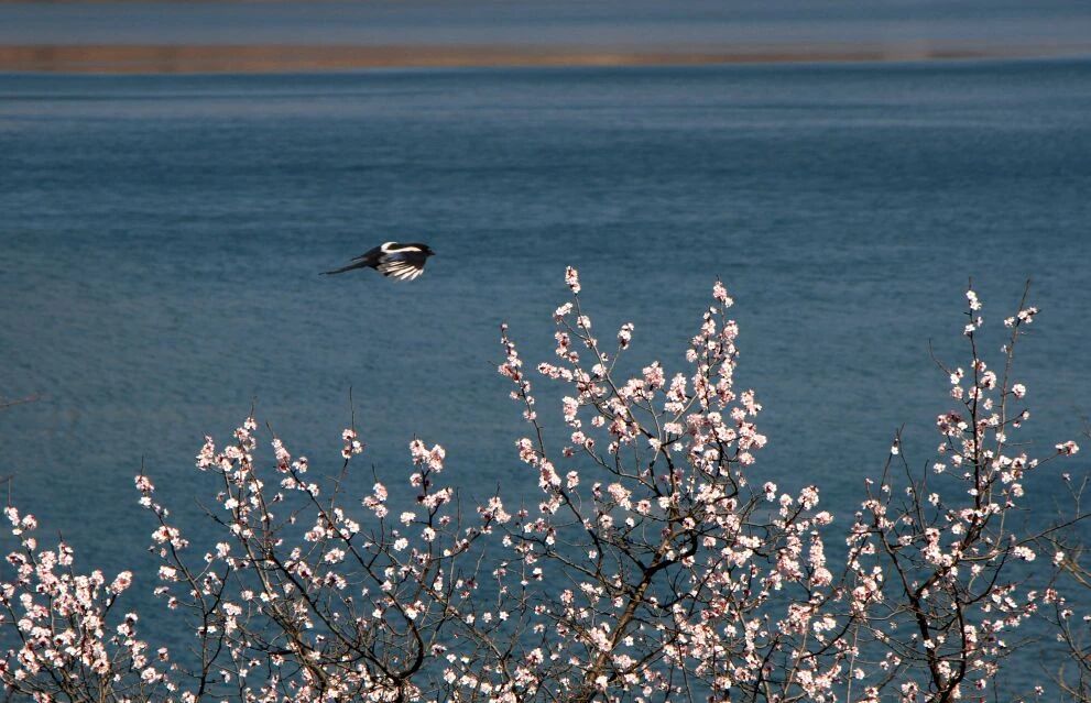 微信图片_2026-03-02_142725_814