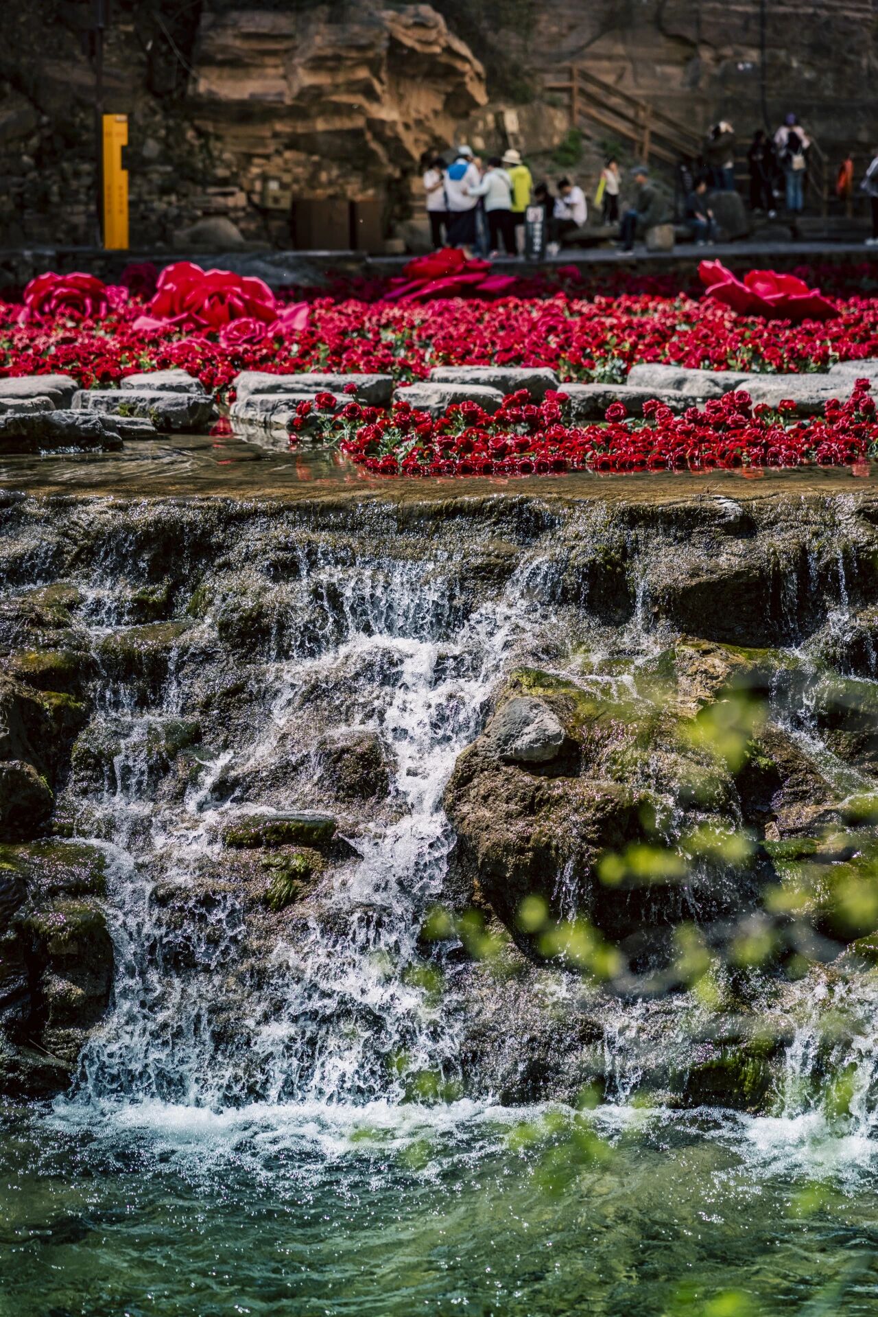 微信图片_2026-04-24_165232_298