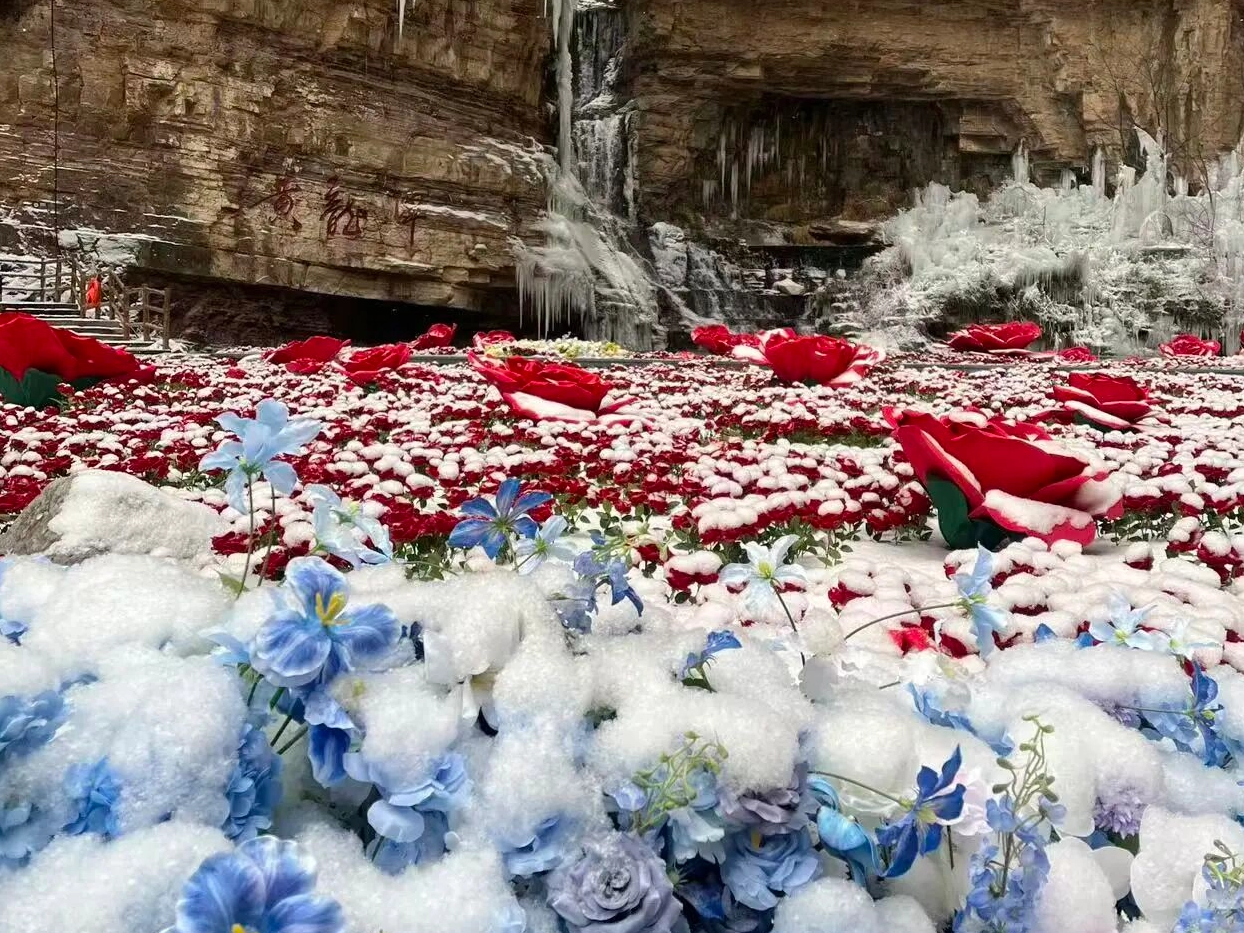 红岩悬冰挂，潭中绽冰玫｜林州太行峡谷冬日盛景等你来赏