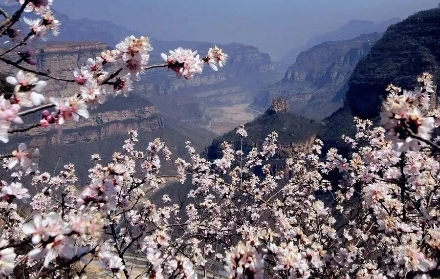 微信图片_2026-04-09_172930_755