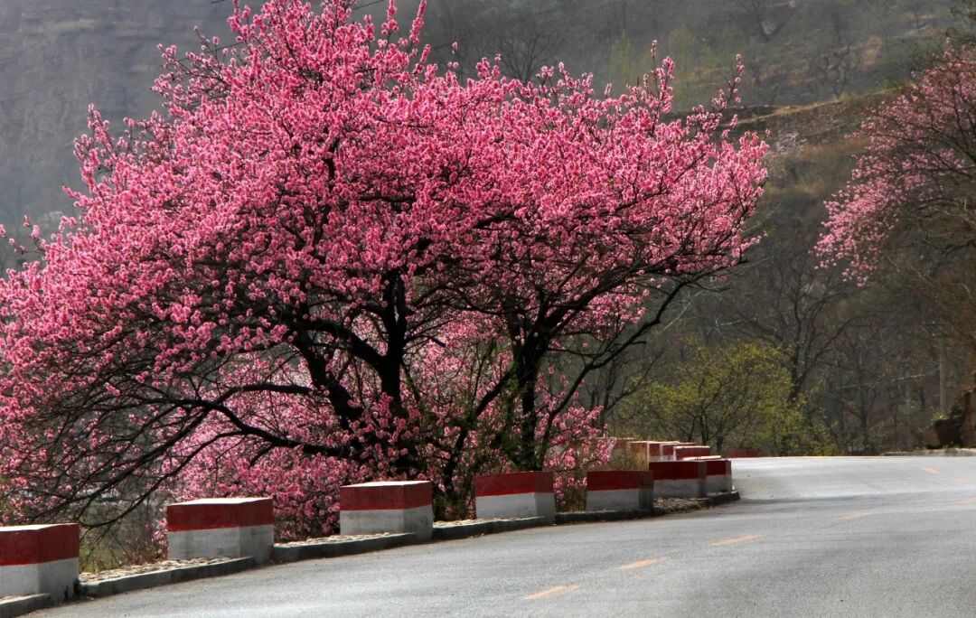 微信图片_2026-03-09_095124_068