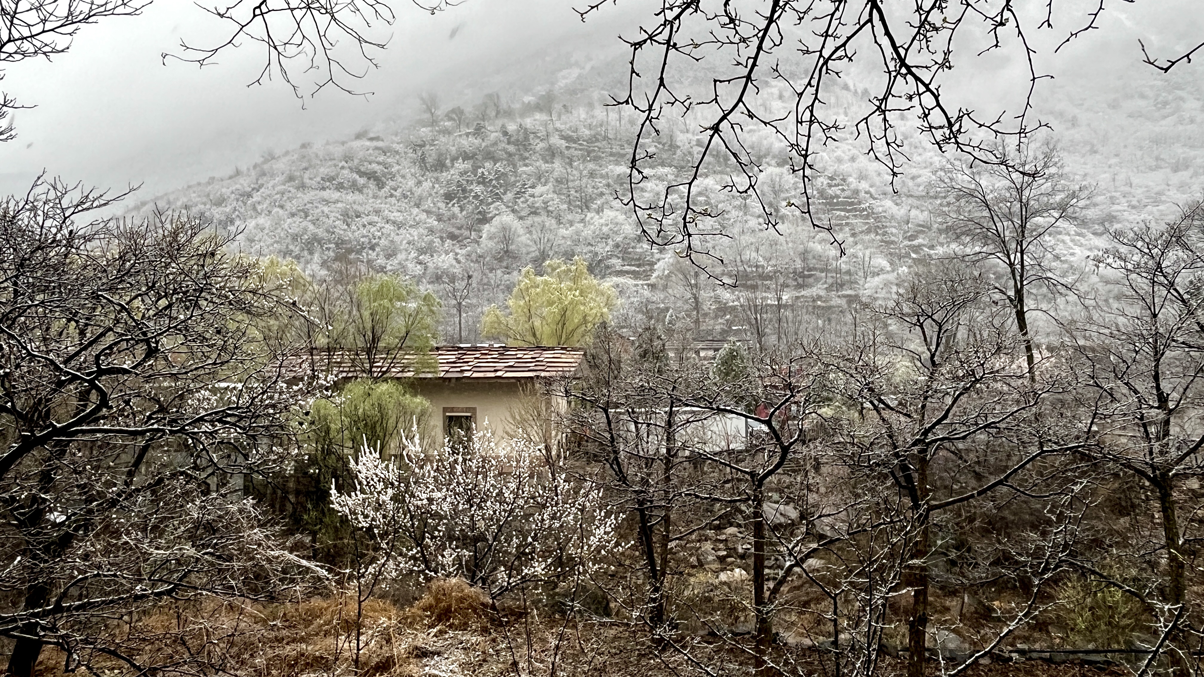 微信图片_20230317090356