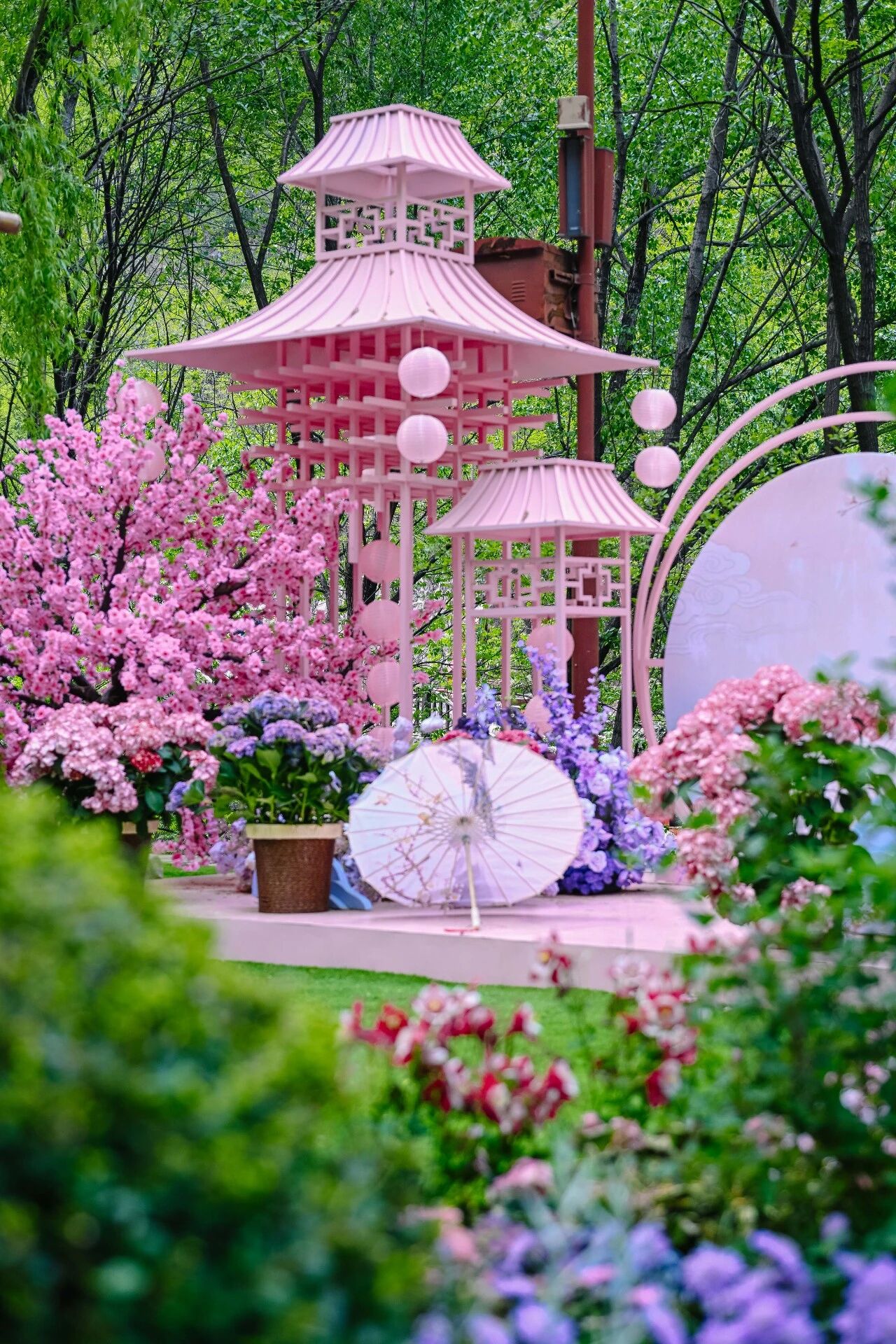 微信图片_2026-04-27_162447_699