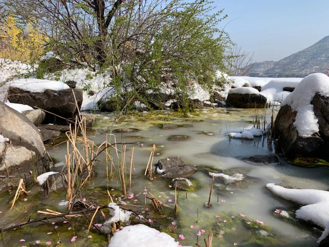 微信图片_20200415085333