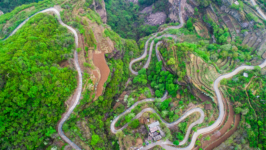 微信图片_20250424164308