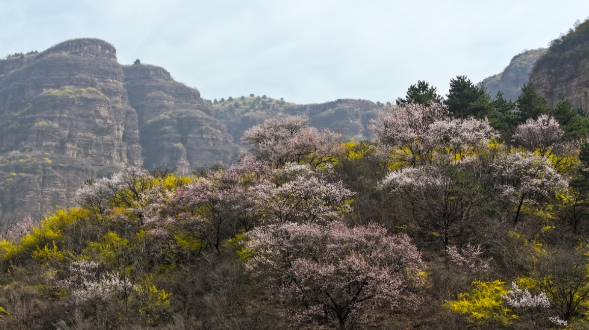 微信图片_20250425085235