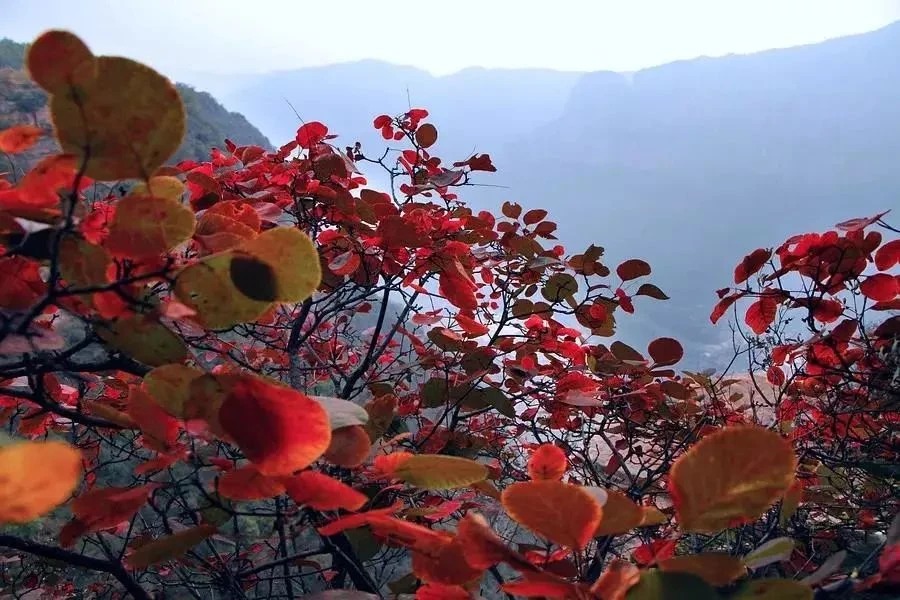 微信图片_2025-10-18_153648_308_看图王