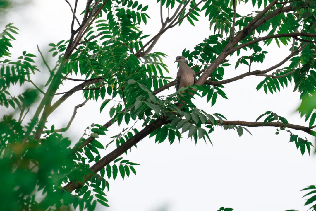 640 (4)_看图王.web