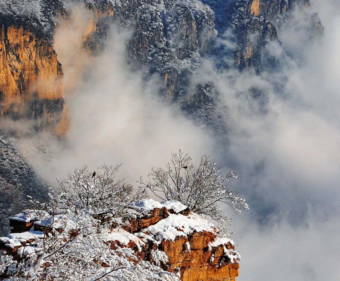 微信图片_2026-01-04_091112_655