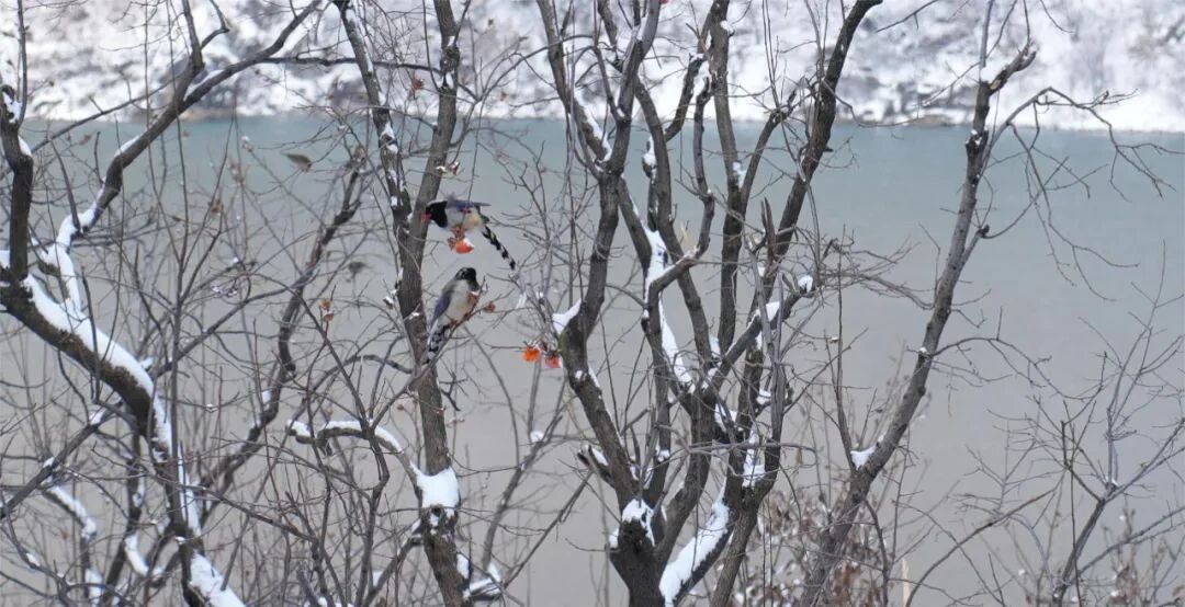 微信图片_2026-01-21_091046_584