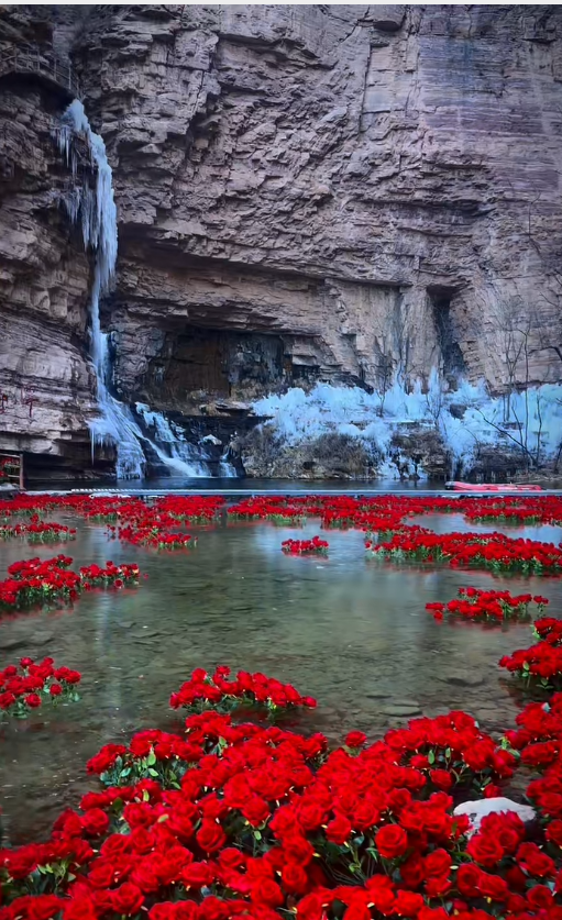 微信图片_2026-01-12_115206_325