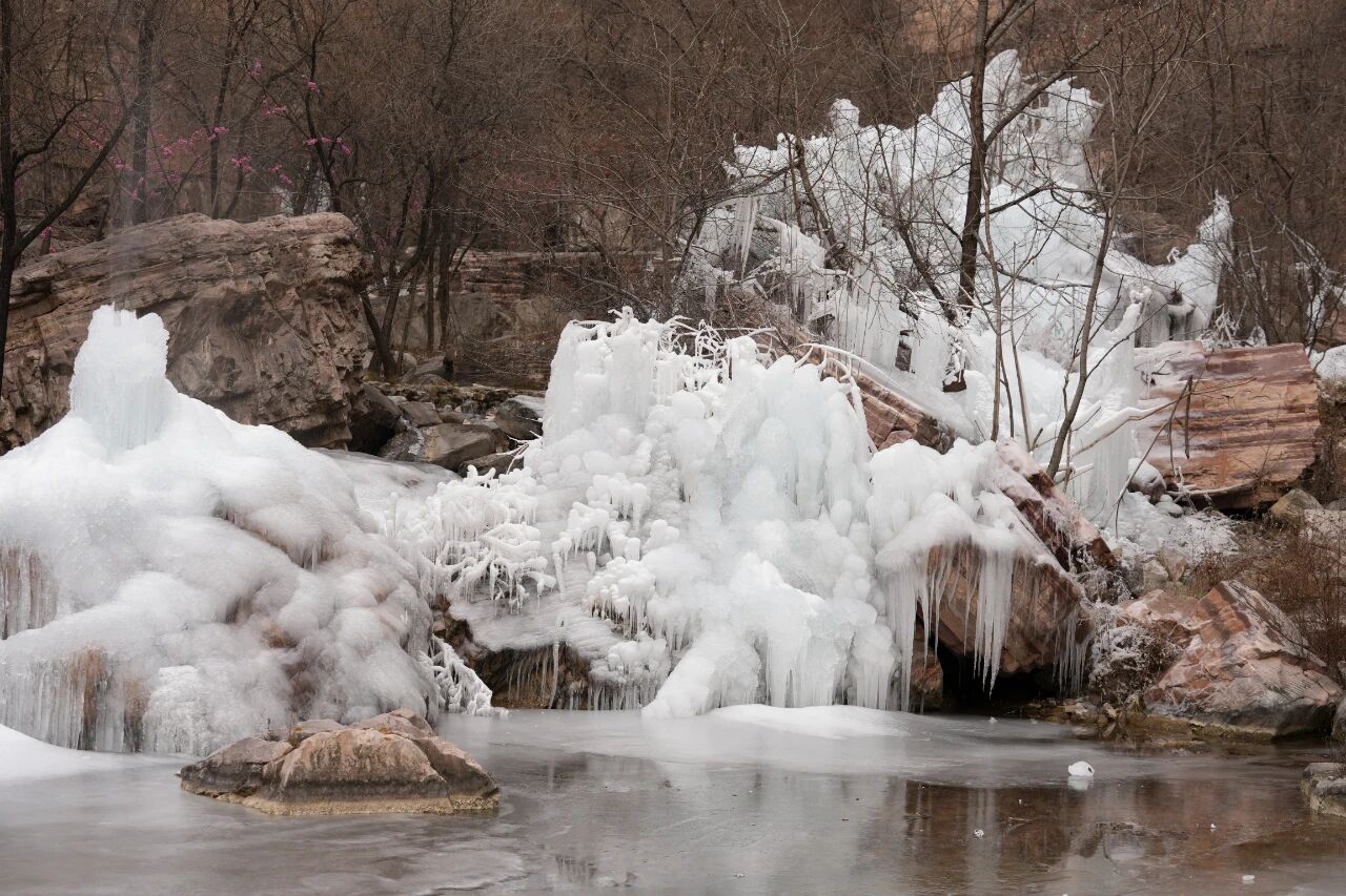 微信图片_2026-01-15_134431_747