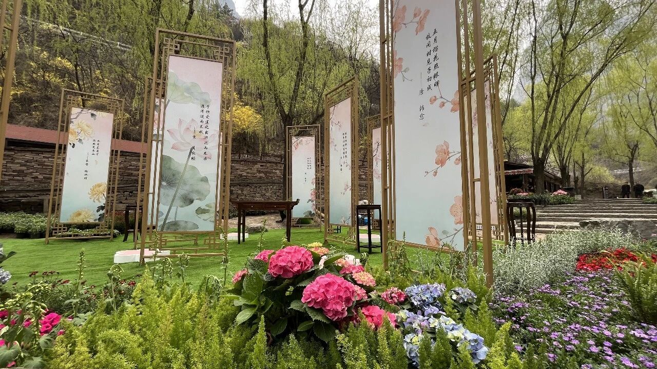 微信图片_2026-04-02_155546_312