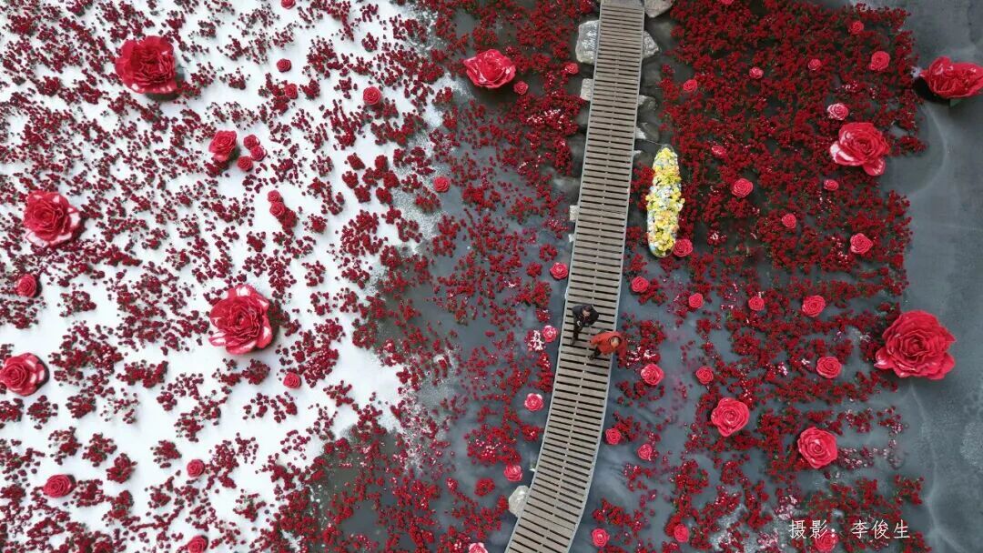 微信图片_2026-01-26_150040_159