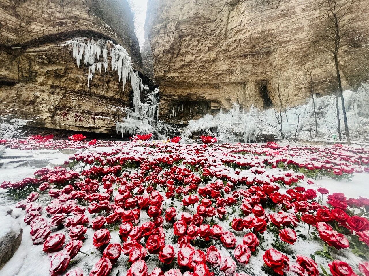 微信图片_2026-01-26_170730_845