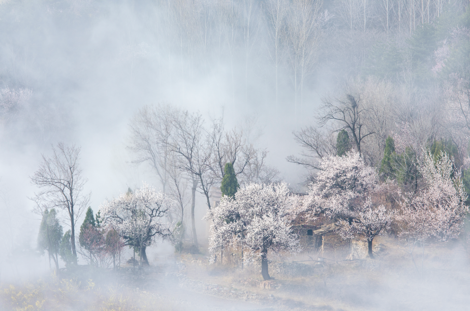 微信图片_2026-03-02_142700_023