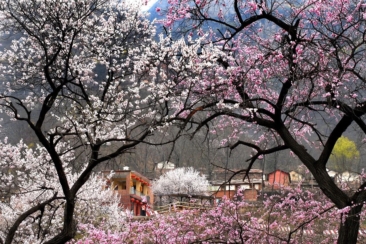 微信图片_2026-03-10_084250_672