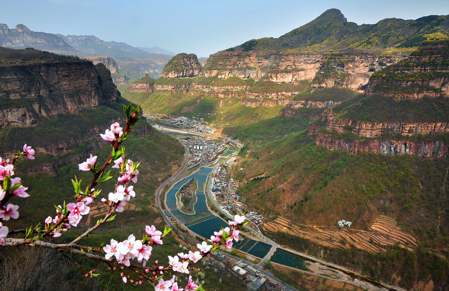 微信图片_2026-04-09_172923_228