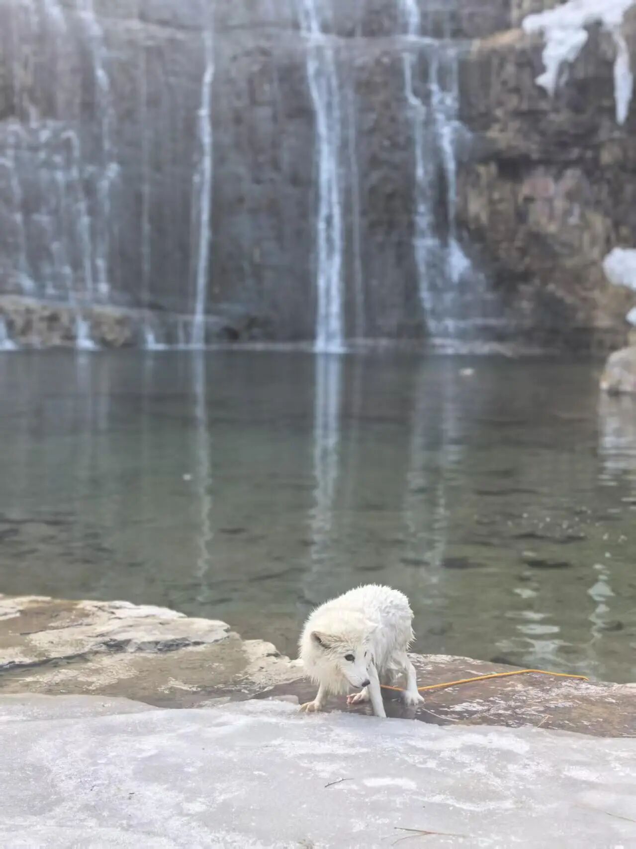 微信图片_2026-02-24_150008_777