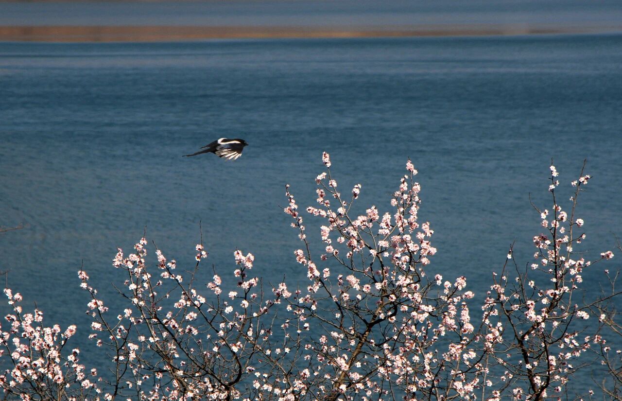 微信图片_2026-03-09_093911_354