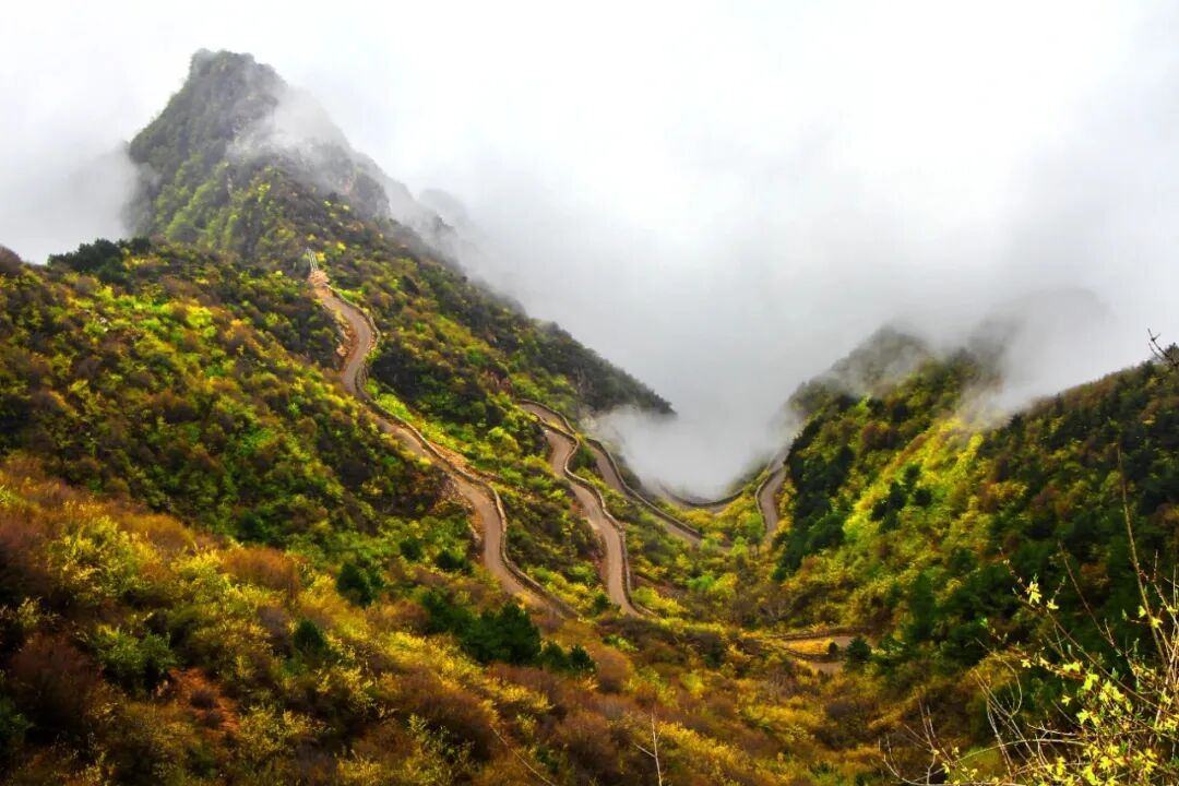 微信图片_2026-03-09_095121_748