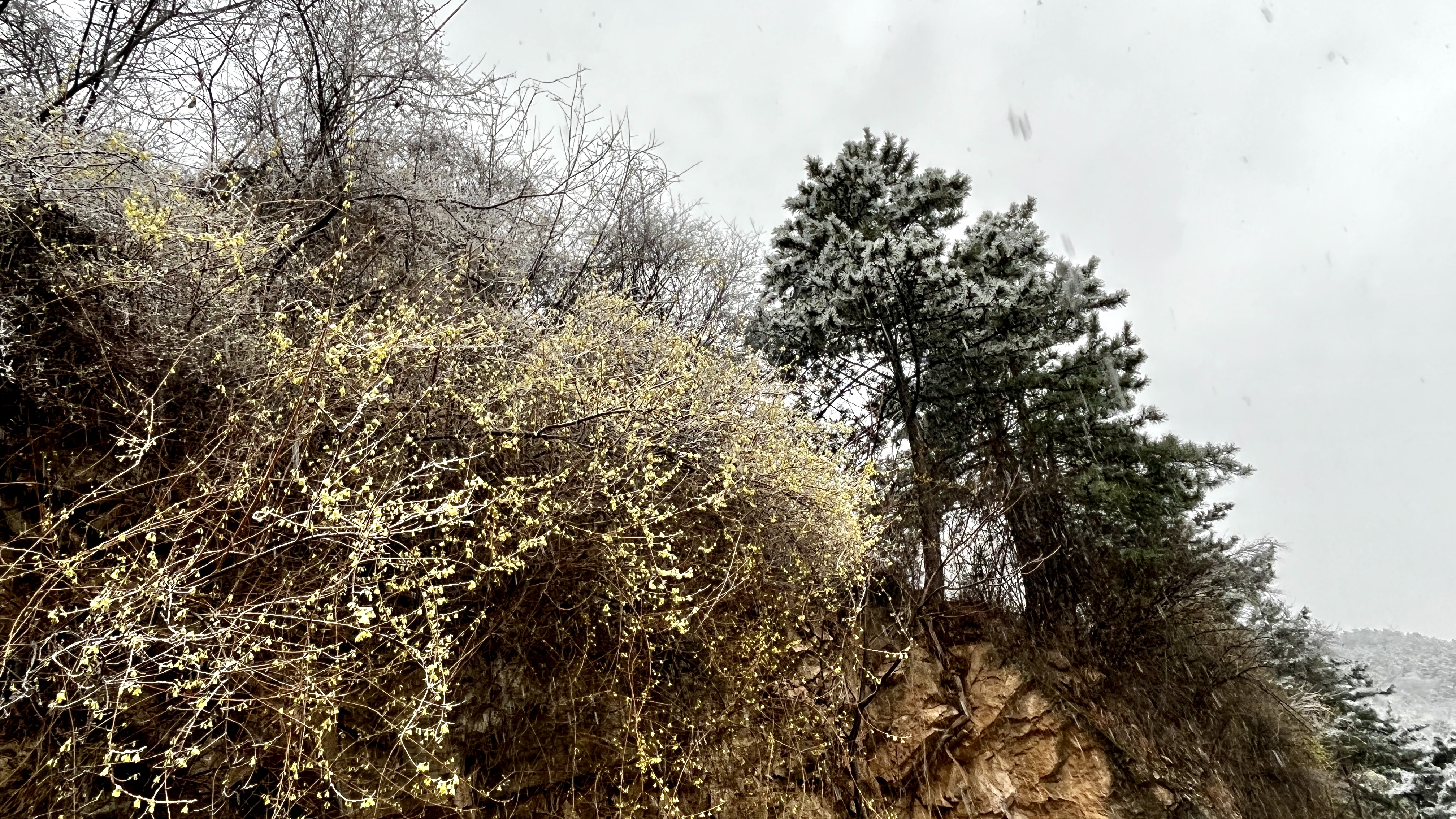 微信图片_20230317090419