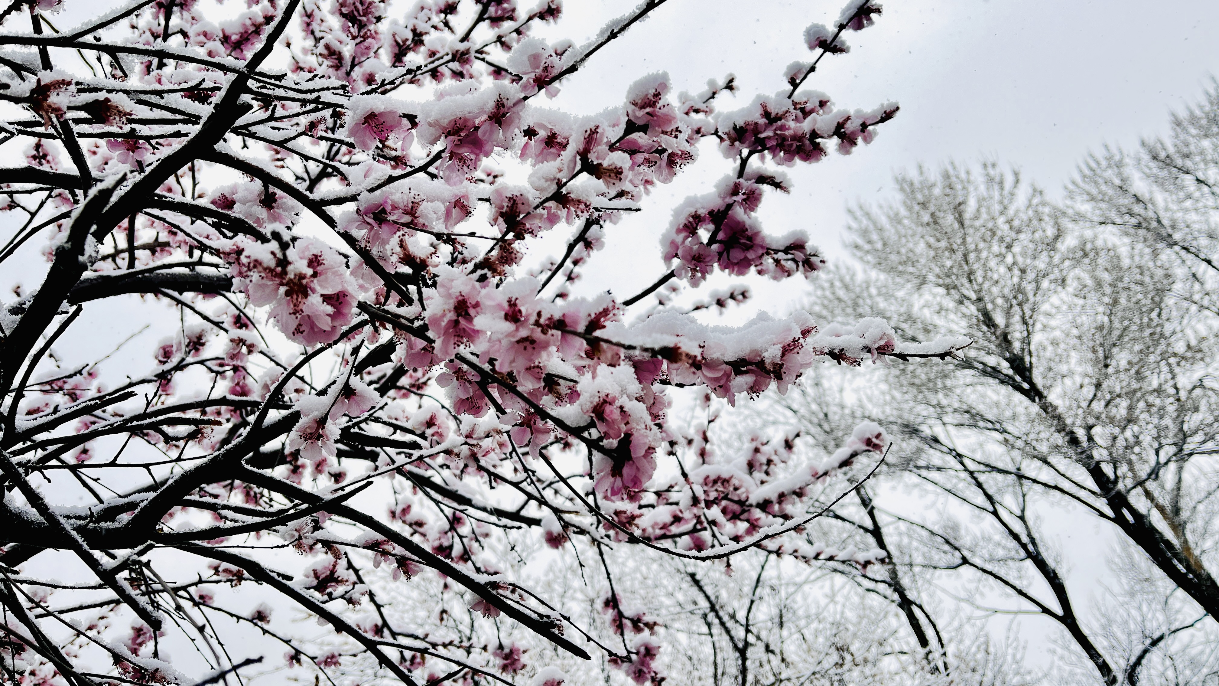 微信图片_20230317090406