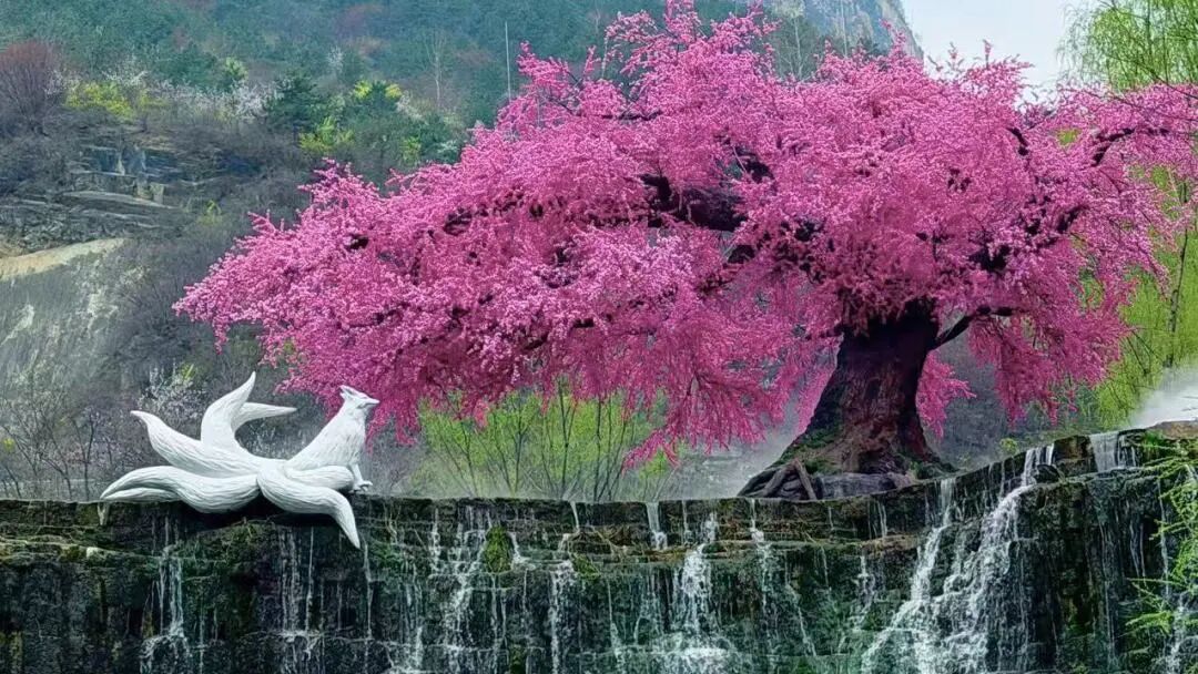 微信图片_2026-05-09_174020_915