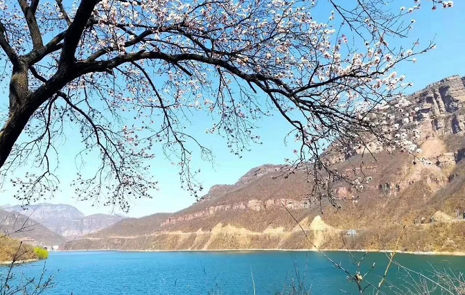 微信图片_20200317082816