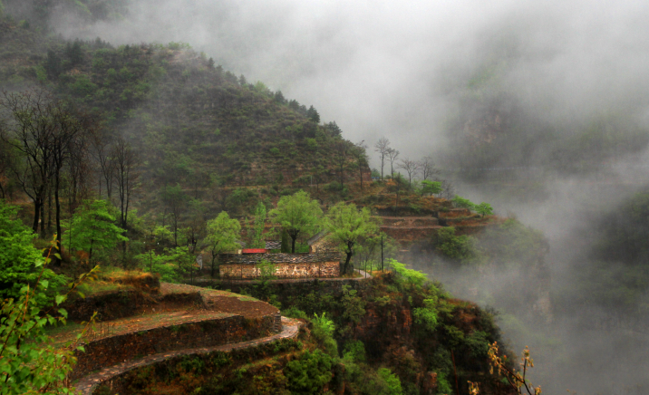 微信截图_20200416100436