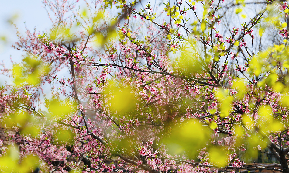 微信图片_20250424165916