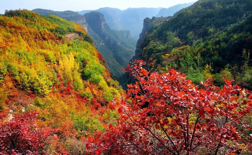 微信图片_2025-10-18_160206_881_看图王