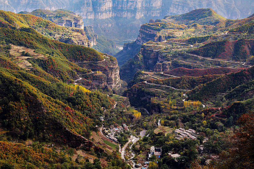 微信图片_2025-11-03_104045_966