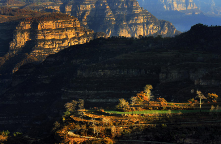 微信图片_2025-11-03_102921_515