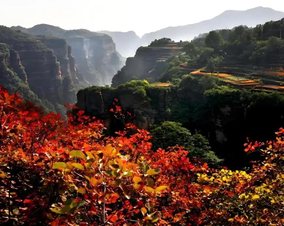 微信图片_2025-11-03_110811_504