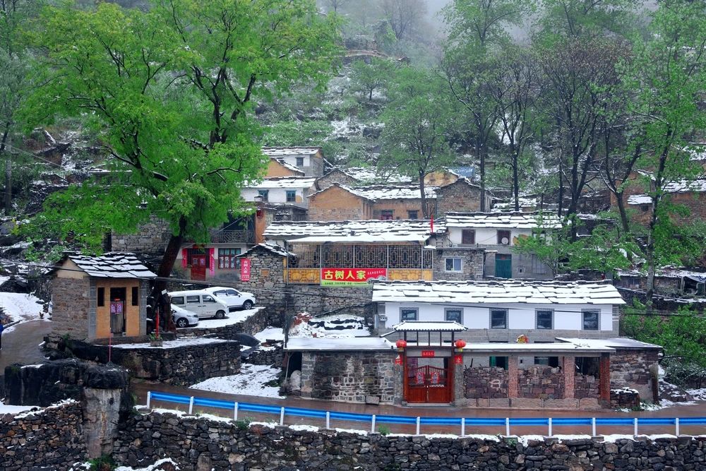 微信图片_20230428093141