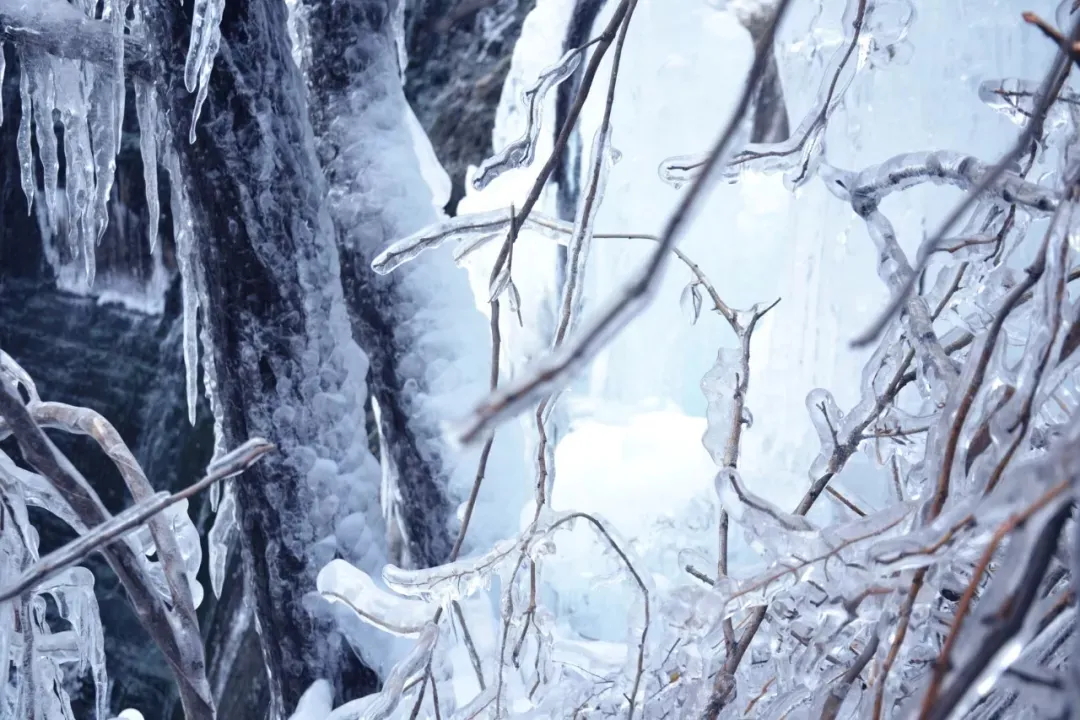 640 (5)_看图王.web