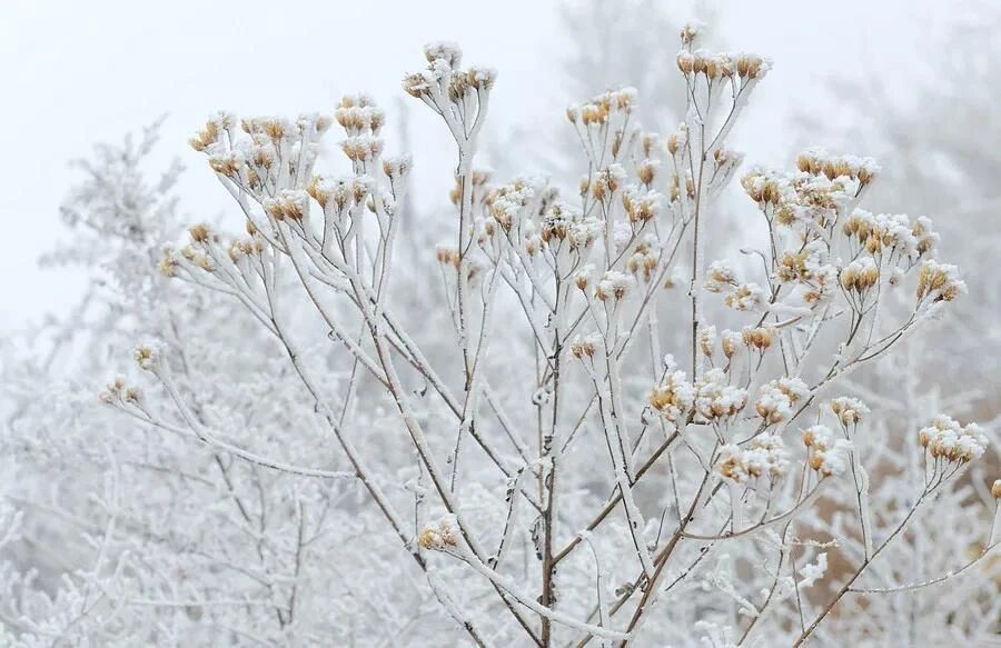 微信图片_2025-12-13_102534_821