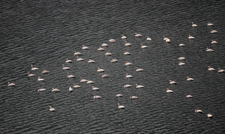 微信图片_2025-12-13_103954_621_看图王