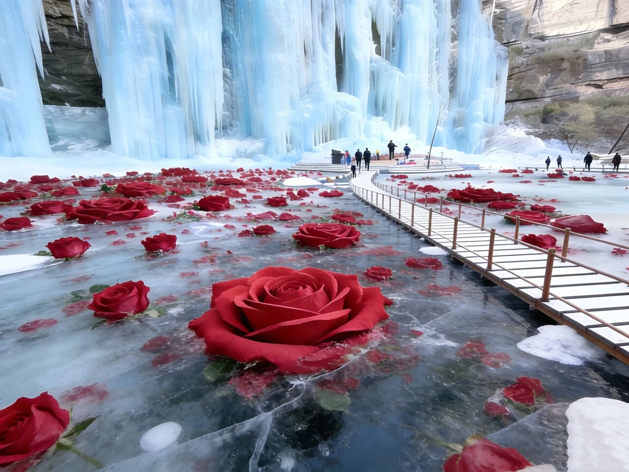 微信图片_2025-12-31_142011_166