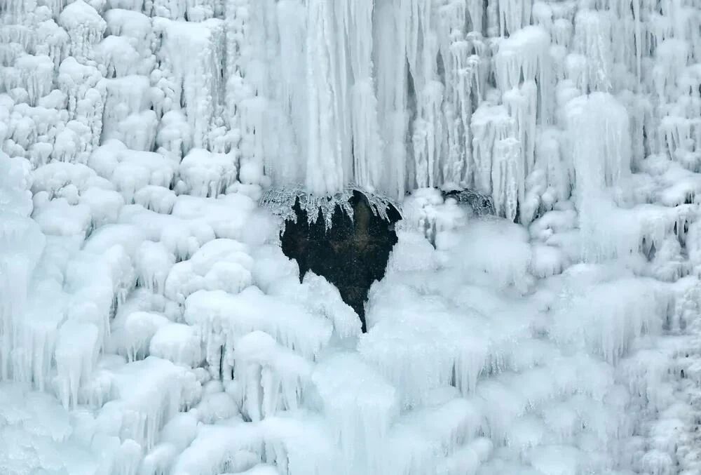 微信图片_2026-01-10_155429_869