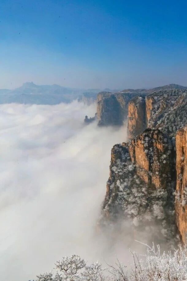 微信图片_2026-01-10_161025_457