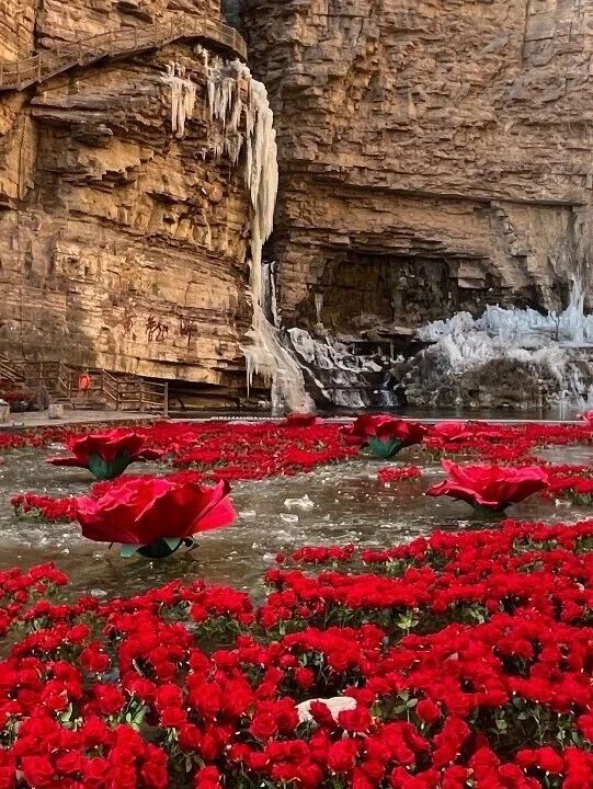 微信图片_2026-01-21_085712_958