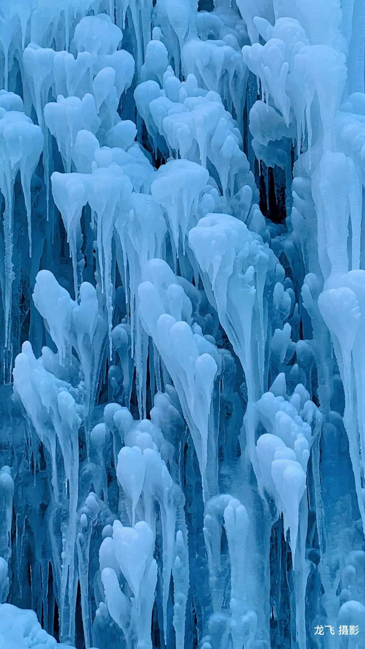 微信图片_2026-01-12_115227_901