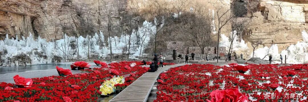 微信图片_2026-01-26_150041_742