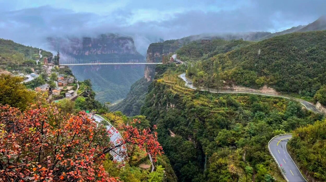 微信图片_2026-01-26_170813_667