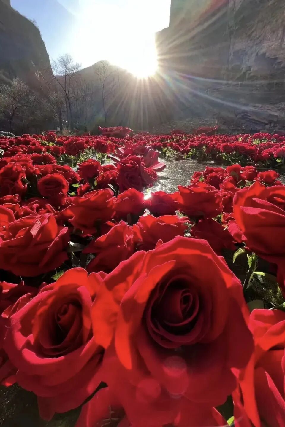 微信图片_2026-02-28_144145_733